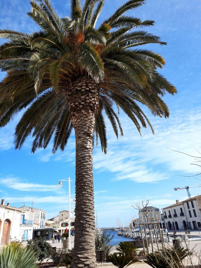 Appartement De Charme Sur Le Port De Marseillan Kültér fotó