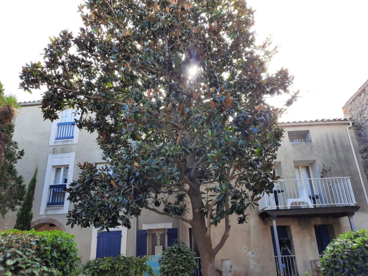 Appartement De Charme Sur Le Port De Marseillan Kültér fotó